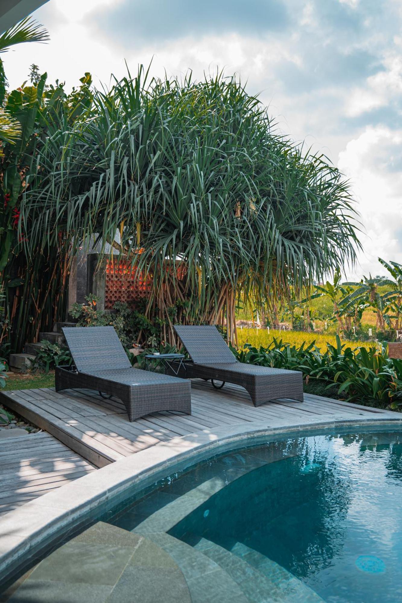 Mahalona Bali Stay Canggu Exterior foto